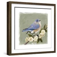 Bluebird Branch I-Victoria Borges-Framed Art Print