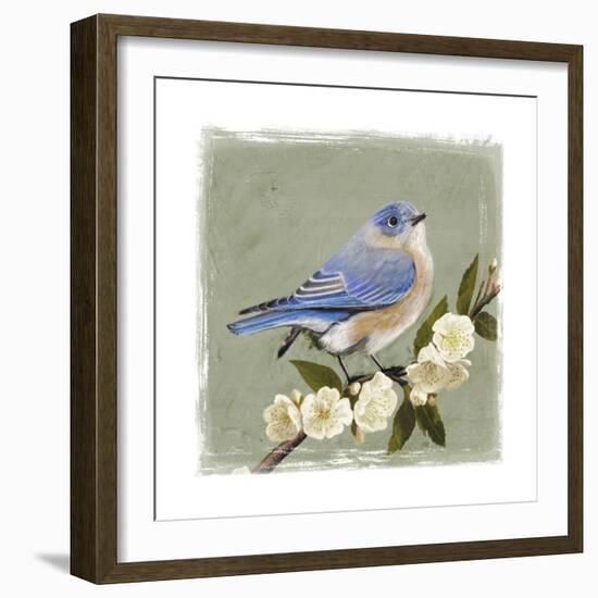 Bluebird Branch I-Victoria Borges-Framed Art Print