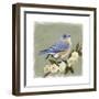 Bluebird Branch I-Victoria Borges-Framed Art Print