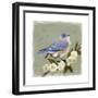 Bluebird Branch I-Victoria Borges-Framed Art Print