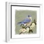 Bluebird Branch I-Victoria Borges-Framed Art Print