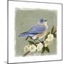 Bluebird Branch I-Victoria Borges-Mounted Art Print