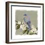Bluebird Branch II-Victoria Borges-Framed Art Print