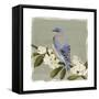 Bluebird Branch II-Victoria Borges-Framed Stretched Canvas