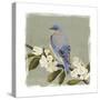 Bluebird Branch II-Victoria Borges-Stretched Canvas