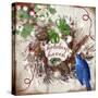 Bluebird Christmas II-null-Stretched Canvas