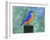 Bluebird Dotted Black Box-null-Framed Art Print