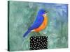 Bluebird Dotted Black Box-null-Stretched Canvas