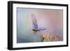 Bluebird Escape-Jai Johnson-Framed Giclee Print