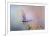 Bluebird Escape-Jai Johnson-Framed Giclee Print