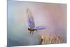 Bluebird Escape-Jai Johnson-Mounted Giclee Print