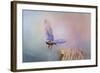 Bluebird Escape-Jai Johnson-Framed Giclee Print