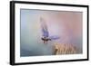 Bluebird Escape-Jai Johnson-Framed Giclee Print