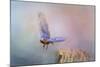 Bluebird Escape-Jai Johnson-Mounted Giclee Print