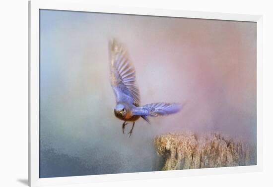 Bluebird Escape-Jai Johnson-Framed Giclee Print