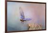 Bluebird Escape-Jai Johnson-Framed Giclee Print