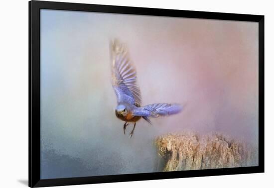 Bluebird Escape-Jai Johnson-Framed Giclee Print