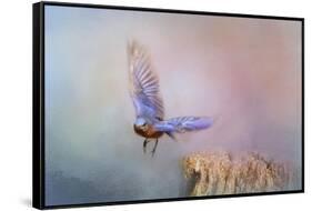 Bluebird Escape-Jai Johnson-Framed Stretched Canvas