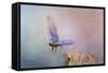 Bluebird Escape-Jai Johnson-Framed Stretched Canvas