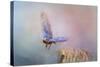 Bluebird Escape-Jai Johnson-Stretched Canvas