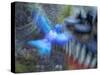 Bluebird garden art with planter.-Merrill Images-Stretched Canvas