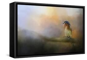 Bluebird in the Perfect Light-Jai Johnson-Framed Stretched Canvas