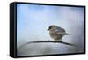 Bluebird in the Snow-Jai Johnson-Framed Stretched Canvas