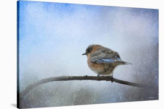 Bluebird in the Snow-Jai Johnson-Stretched Canvas