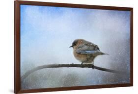 Bluebird in the Snow-Jai Johnson-Framed Giclee Print