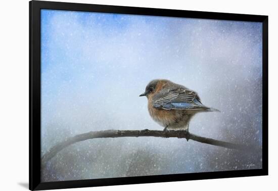 Bluebird in the Snow-Jai Johnson-Framed Giclee Print