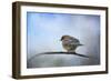 Bluebird in the Snow-Jai Johnson-Framed Giclee Print