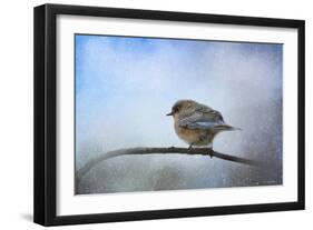 Bluebird in the Snow-Jai Johnson-Framed Giclee Print