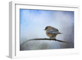 Bluebird in the Snow-Jai Johnson-Framed Giclee Print