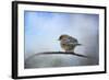 Bluebird in the Snow-Jai Johnson-Framed Giclee Print