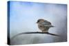 Bluebird in the Snow-Jai Johnson-Stretched Canvas