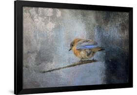 Bluebird in Winter-Jai Johnson-Framed Giclee Print
