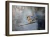 Bluebird in Winter-Jai Johnson-Framed Giclee Print