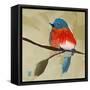 Bluebird No. 21-Angela Moulton-Framed Stretched Canvas