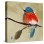 Bluebird No. 21-Angela Moulton-Stretched Canvas