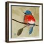 Bluebird No. 21-Angela Moulton-Framed Art Print