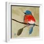 Bluebird No. 21-Angela Moulton-Framed Art Print