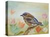 Bluebird on a Sunny Day-Angeles M Pomata-Stretched Canvas