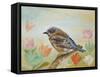 Bluebird on a Sunny Day-Angeles M Pomata-Framed Stretched Canvas