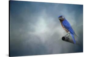 Bluebird on Patrol-Jai Johnson-Stretched Canvas