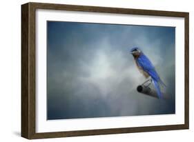 Bluebird on Patrol-Jai Johnson-Framed Giclee Print