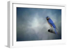 Bluebird on Patrol-Jai Johnson-Framed Giclee Print