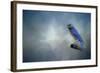 Bluebird on Patrol-Jai Johnson-Framed Giclee Print