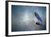 Bluebird on Patrol-Jai Johnson-Framed Giclee Print