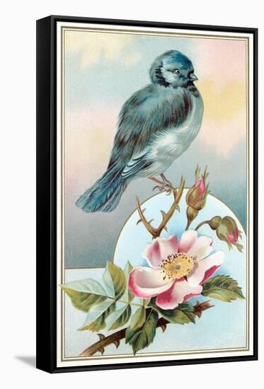 Bluebird on Rose Bush-null-Framed Stretched Canvas