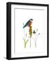 Bluebird on Seeds-Blenda Tyvoll-Framed Giclee Print